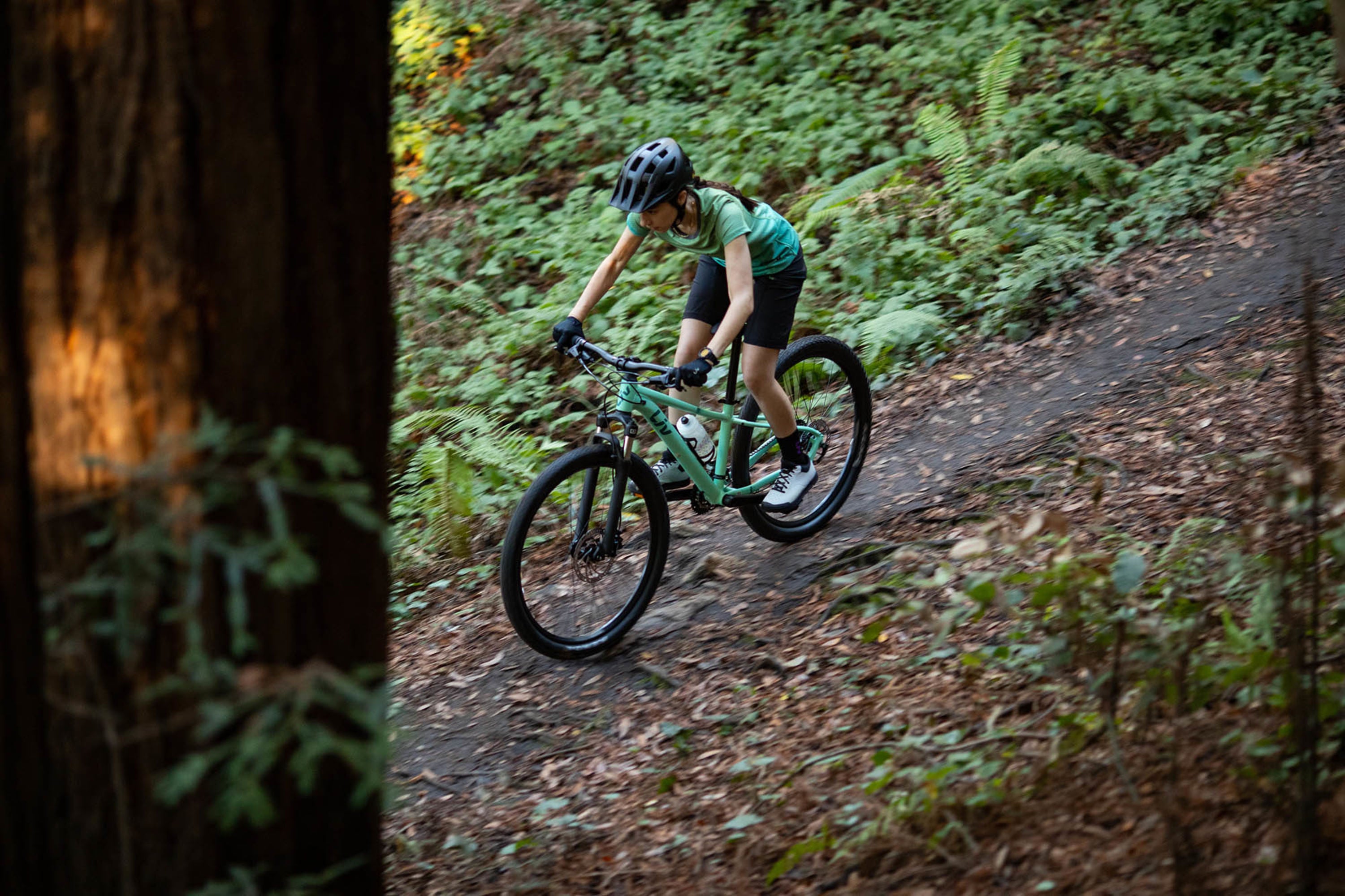 Liv Tempt 29 2 women’s hardtail mountain bike at Friendly Cycle near Miami