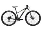 Liv Tempt 29 4 women’s XC hardtail at Friendly Cycle near Miami